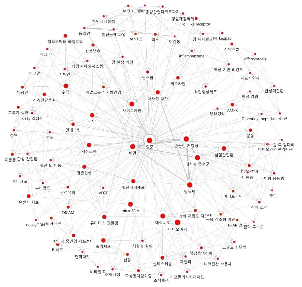 ‘염증’의 연결관계 키워드에 대한 Ego네트워크