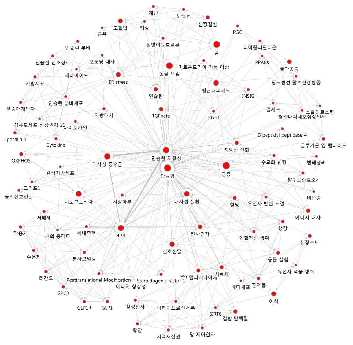 ‘당뇨병’의 연결관계 키워드에 대한 Ego네트워크