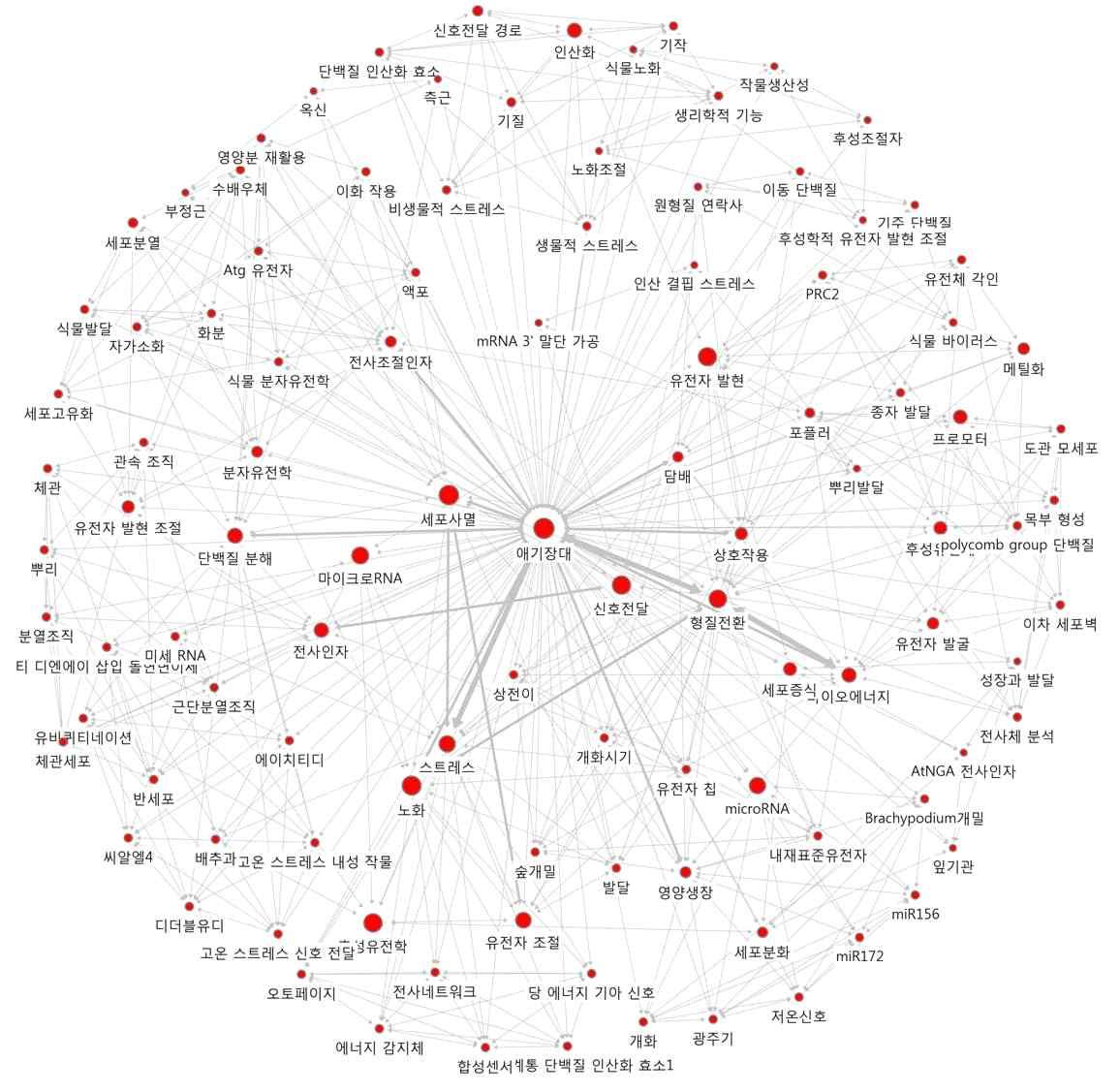 ‘애기장대’의 연결관계 키워드에 대한 Ego네트워크