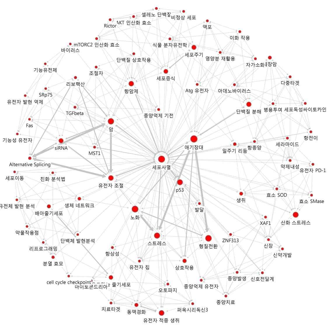 ‘세포사멸’의 연결관계 키워드에 대한 Ego네트워크