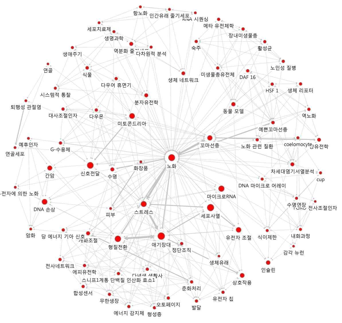 ‘노화’의 연결관계 키워드에 대한 Ego네트워크