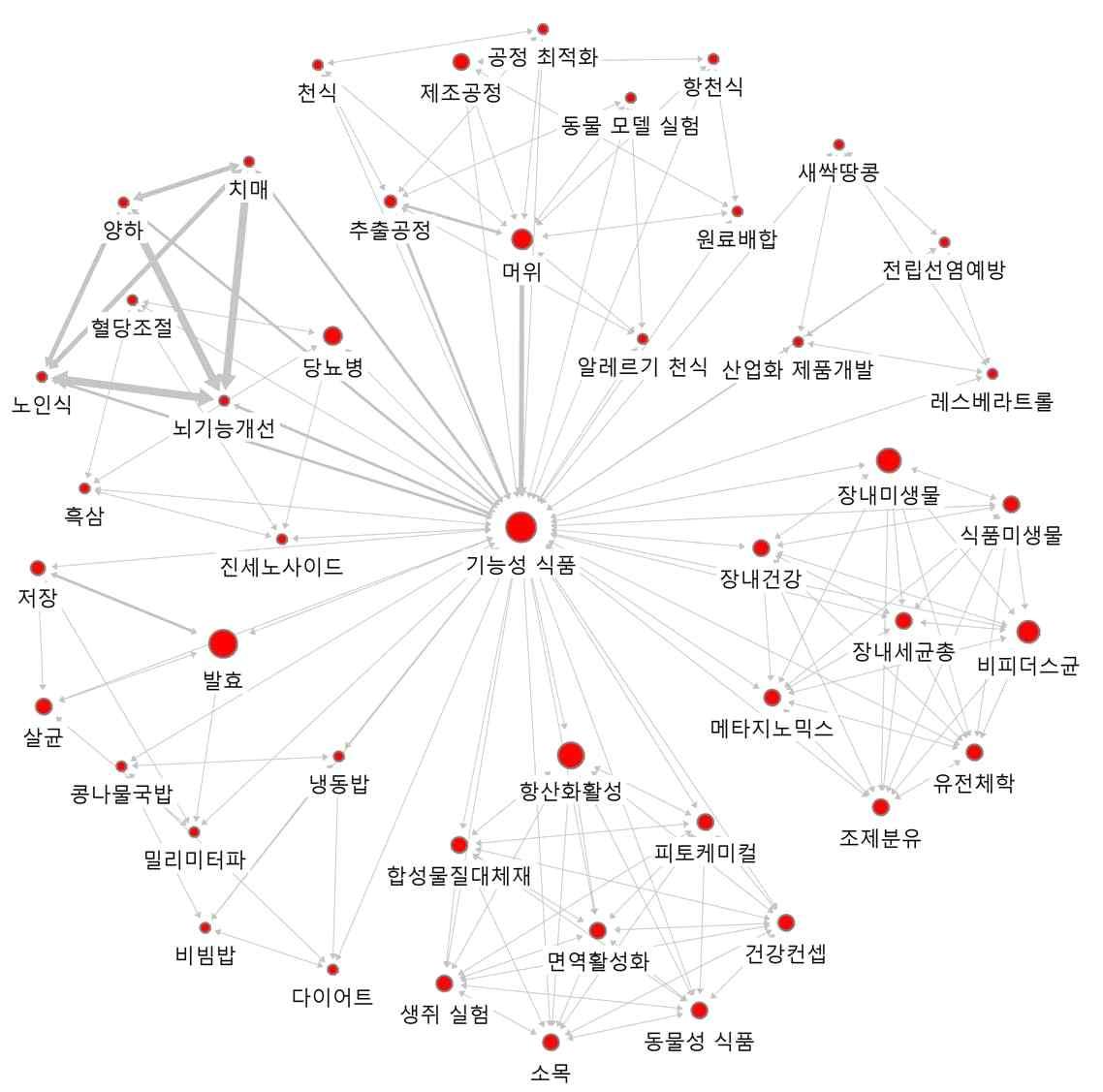 ‘기능성 식품’의 연결관계 키워드에 대한 Ego네트워크