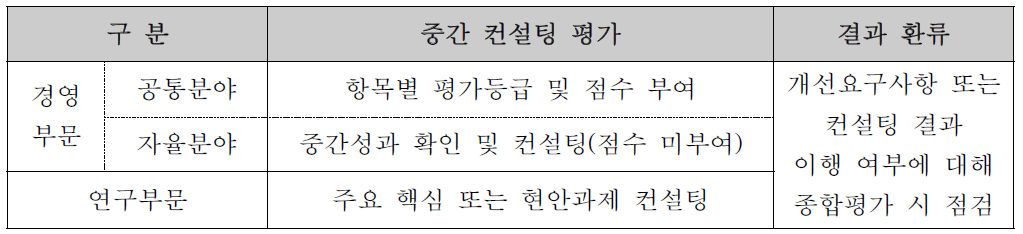 중간 컨설팅 평가 실시 분야 구분