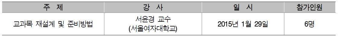 부교수 승진교원 프로그램 실적