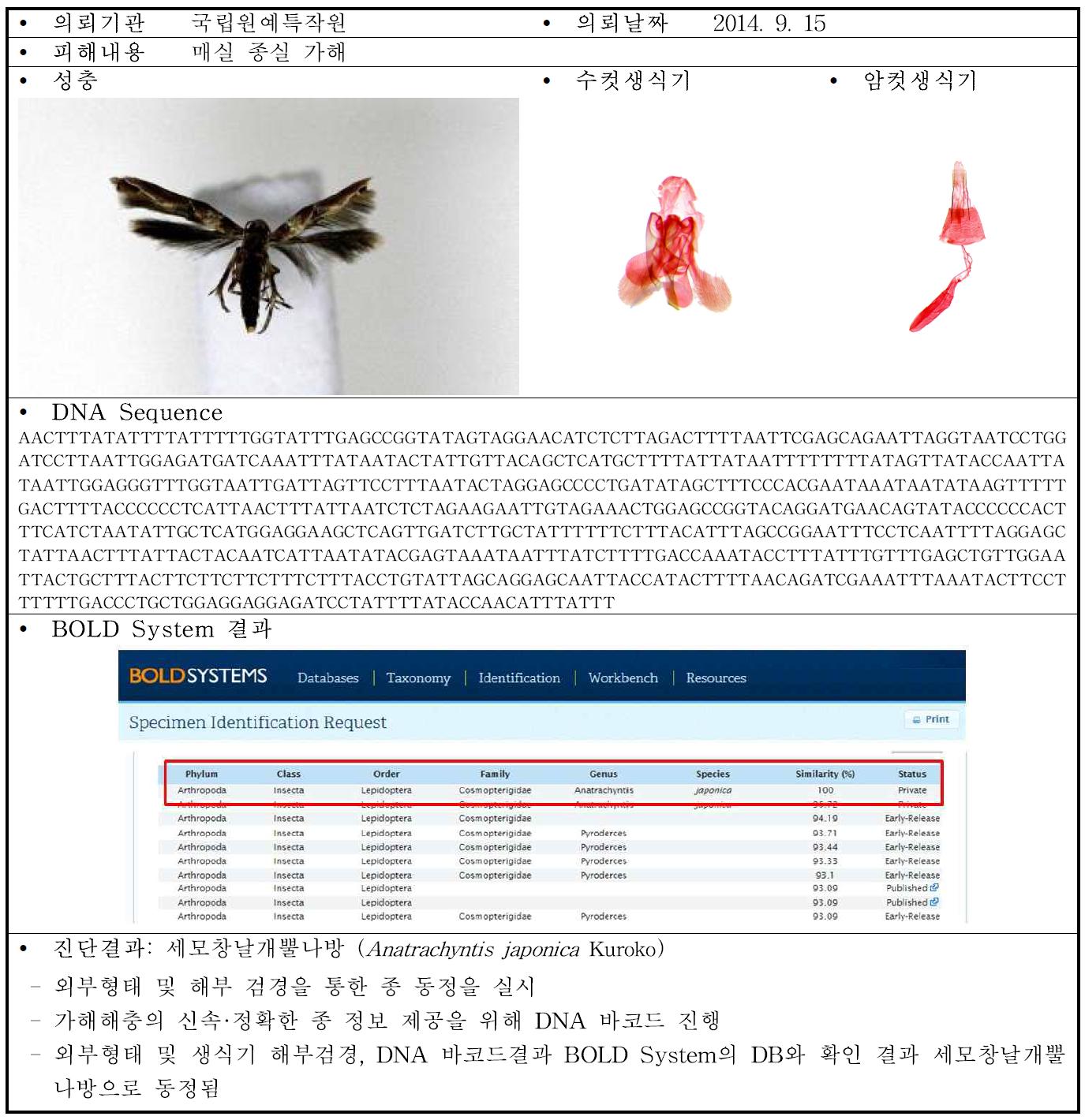 국립원예특작원 의뢰 내용 및 진단 정보