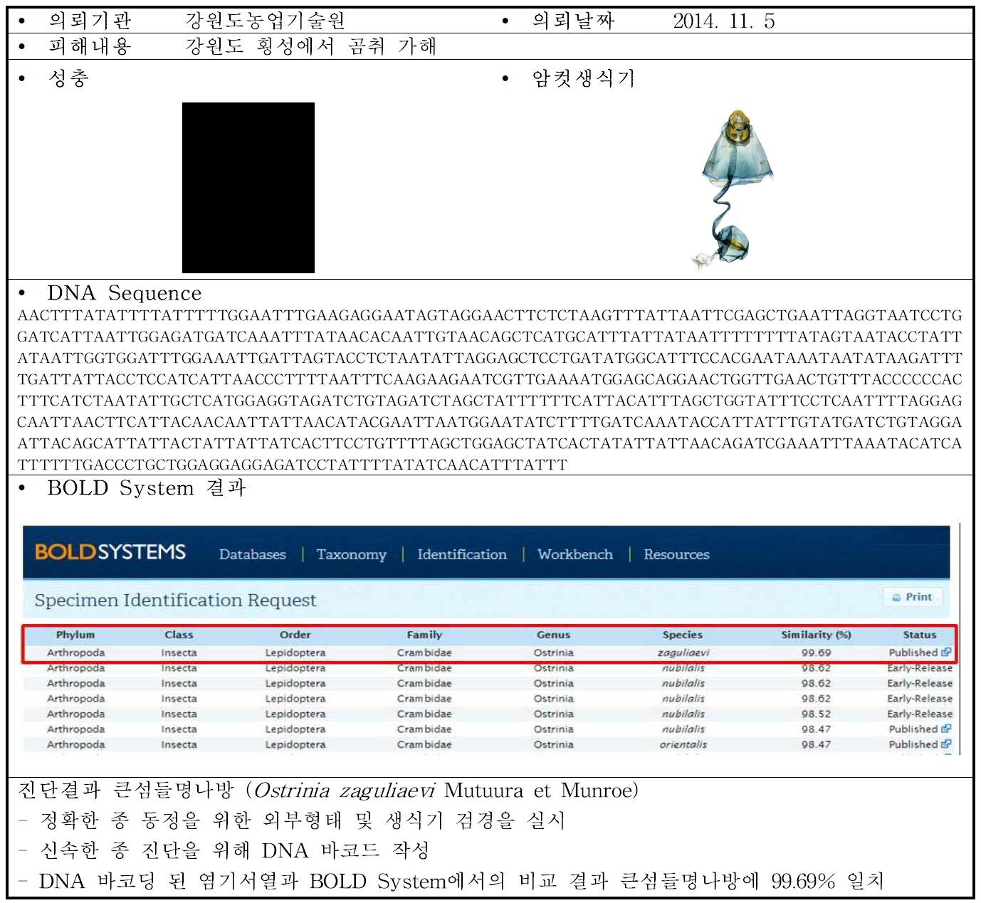 강원도농업기술원 의뢰 내용 및 진단 정보