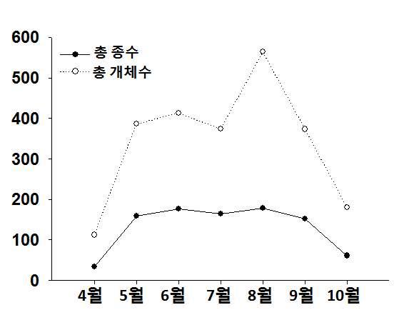 전국 월별 종수 및 개체수 변화