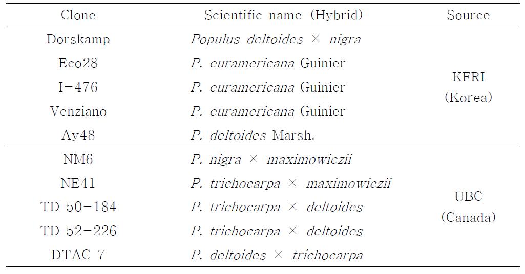 이태리포플러 및 hybrid poplar 클론 목록