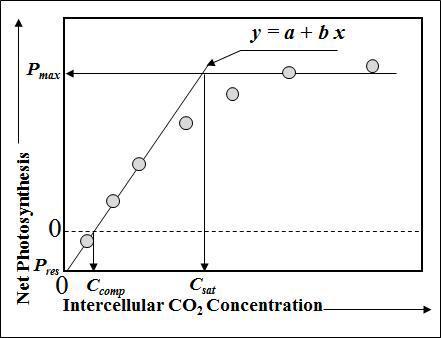 A-Ci 곡선을 이용한 광호흡 속도, 탄소고정효율, CO₂ 보상점, CO₂ 포화점, 최대 광합성 속도의 산출
