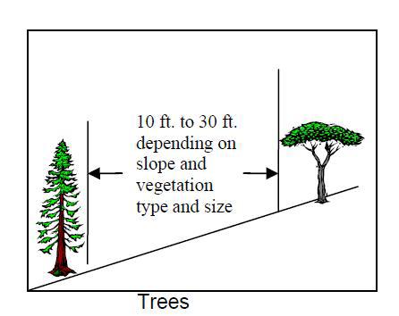 BOF의 산림연료 관리지침에서 제시된 교목 간의 이격거리