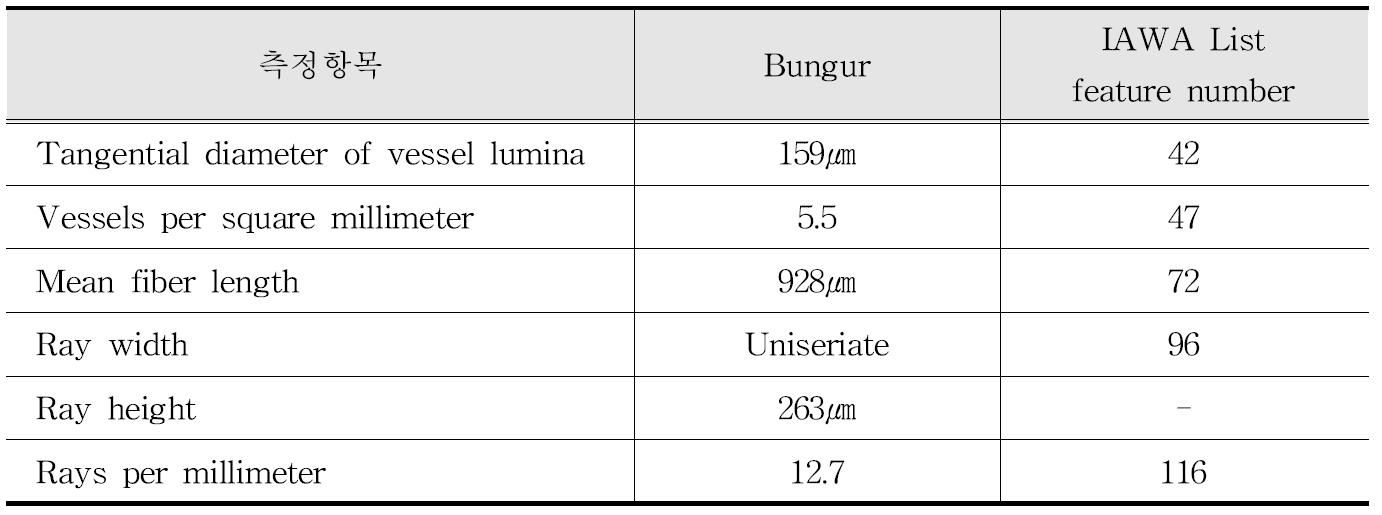 IAWA 기준에 따른 Bungur 수종의 해부학적 특성