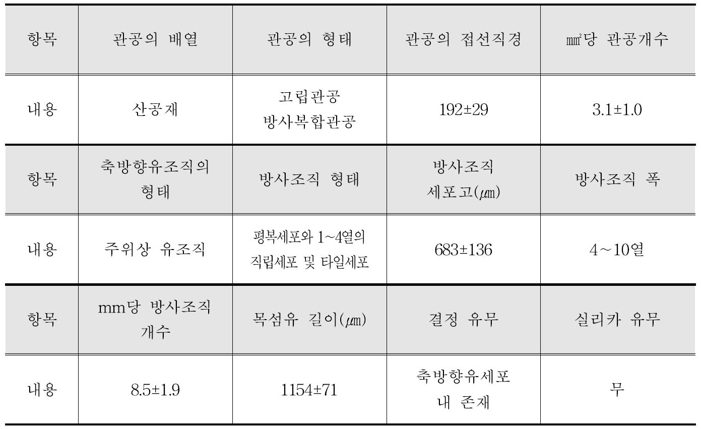 Durian 수종의 해부학적 특성