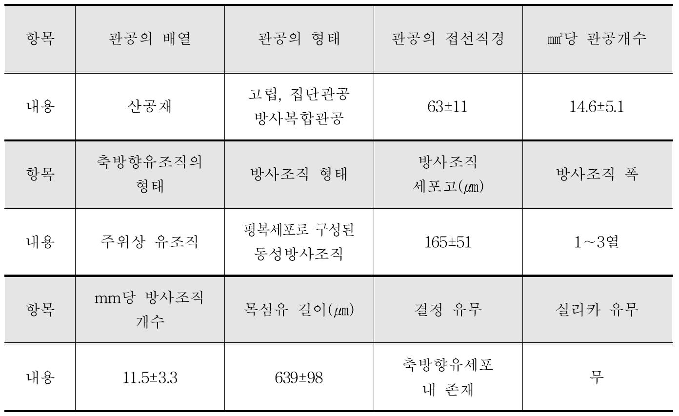 Kiara payung 수종의 해부학적 특성