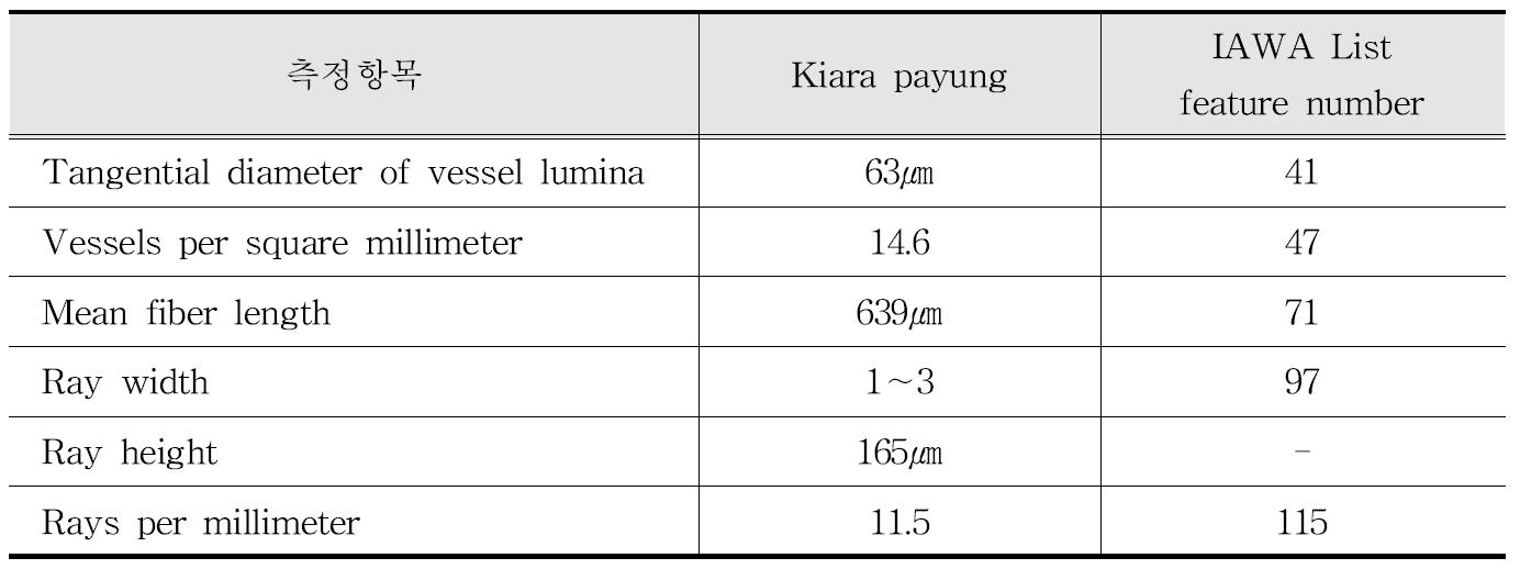 IAWA 기준에 따른 수종의 해부학적 특성