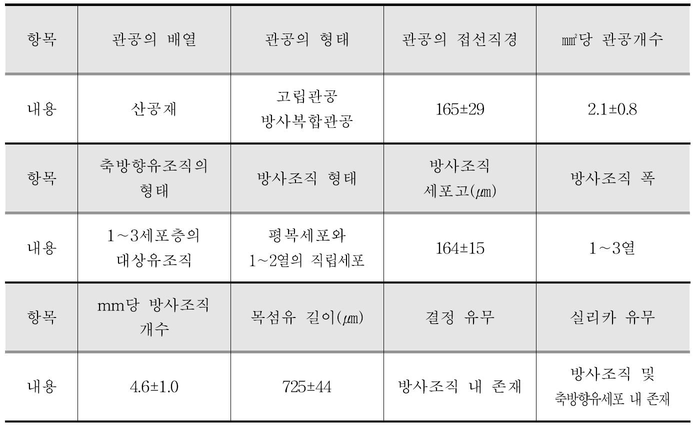 Mangga 수종의 해부학적 특성