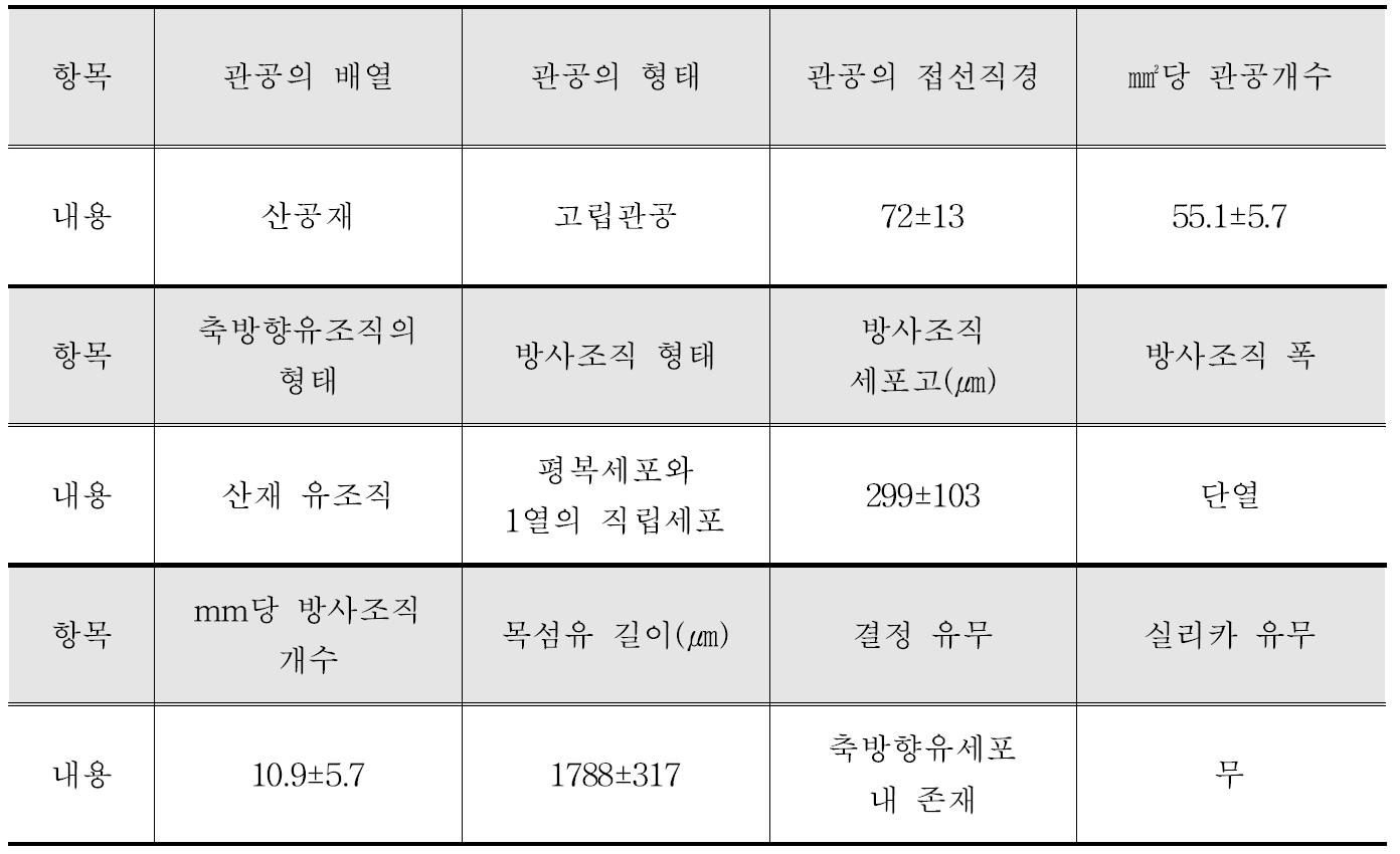 Puspa 수종의 해부학적 특성