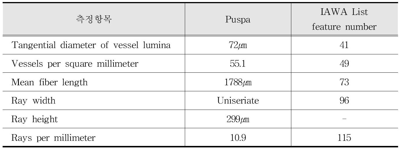 IAWA 기준에 따른 Puspa 수종의 해부학적 특성