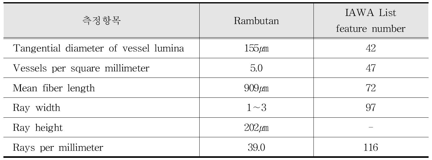 IAWA 기준에 따른 Rambutan 수종의 해부학적 특성