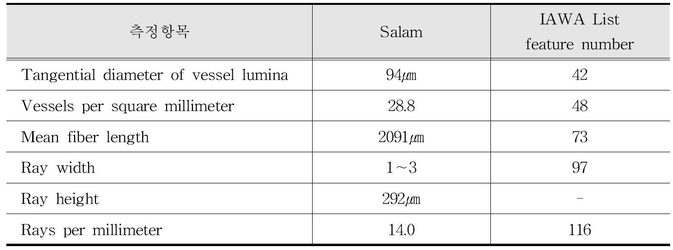 IAWA 기준에 따른 Salam 수종의 해부학적 특성