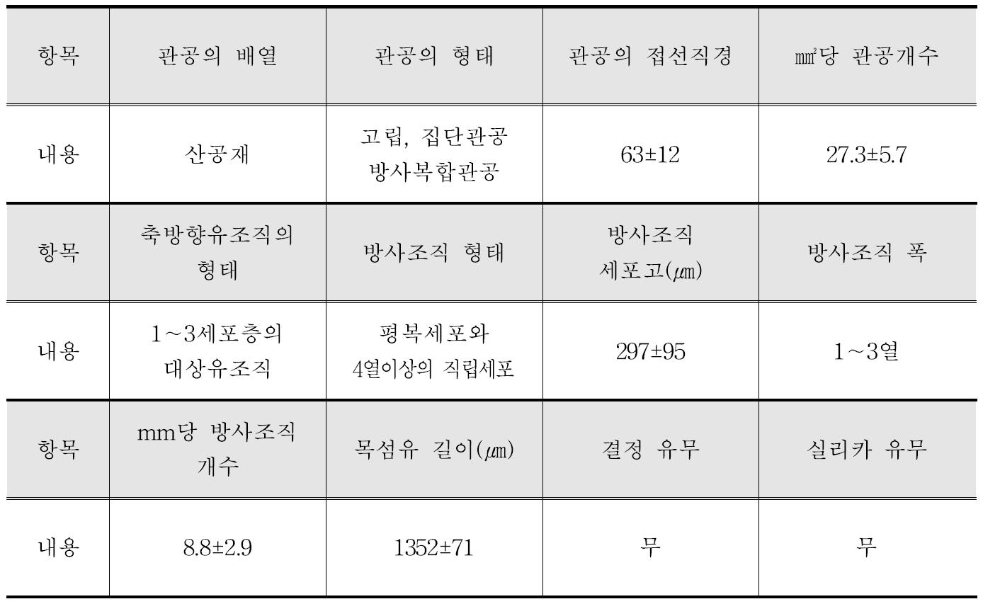 Tanjung 수종의 해부학적 특성