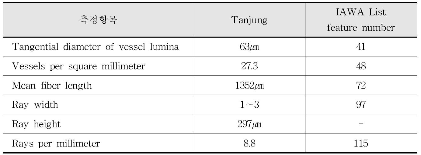 IAWA 기준에 따른 Tanjung 수종의 해부학적 특성