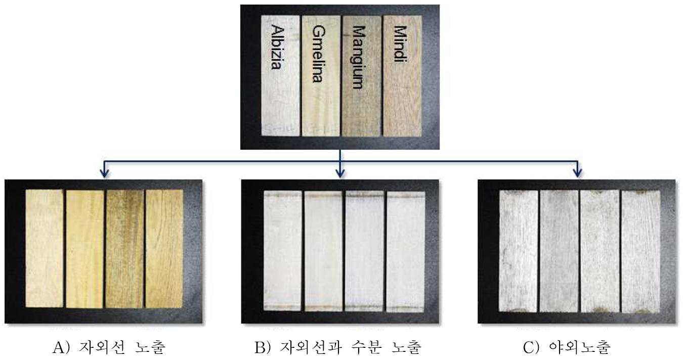 실험 전·후의 재면 색상변화.