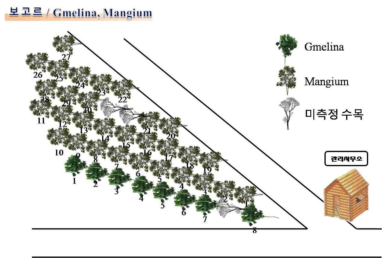 Parung Panjang 조림사업장의 실험사이트 및 실험목 선정 배치도(1).