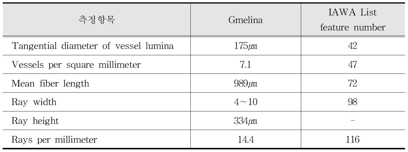 IAWA 기준에 따른 Gmelina 수종의 해부학적 특성