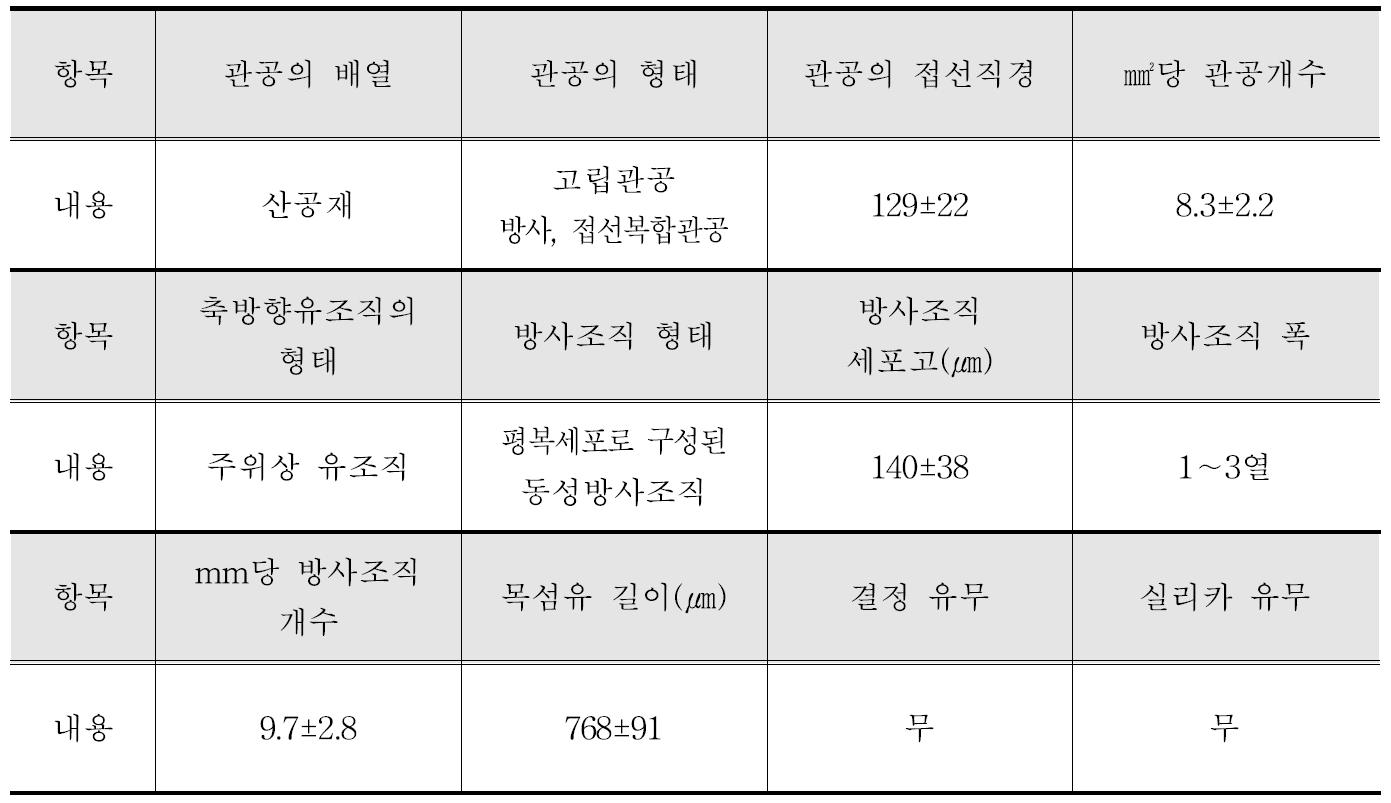 Mangium 수종의 해부학적 특성