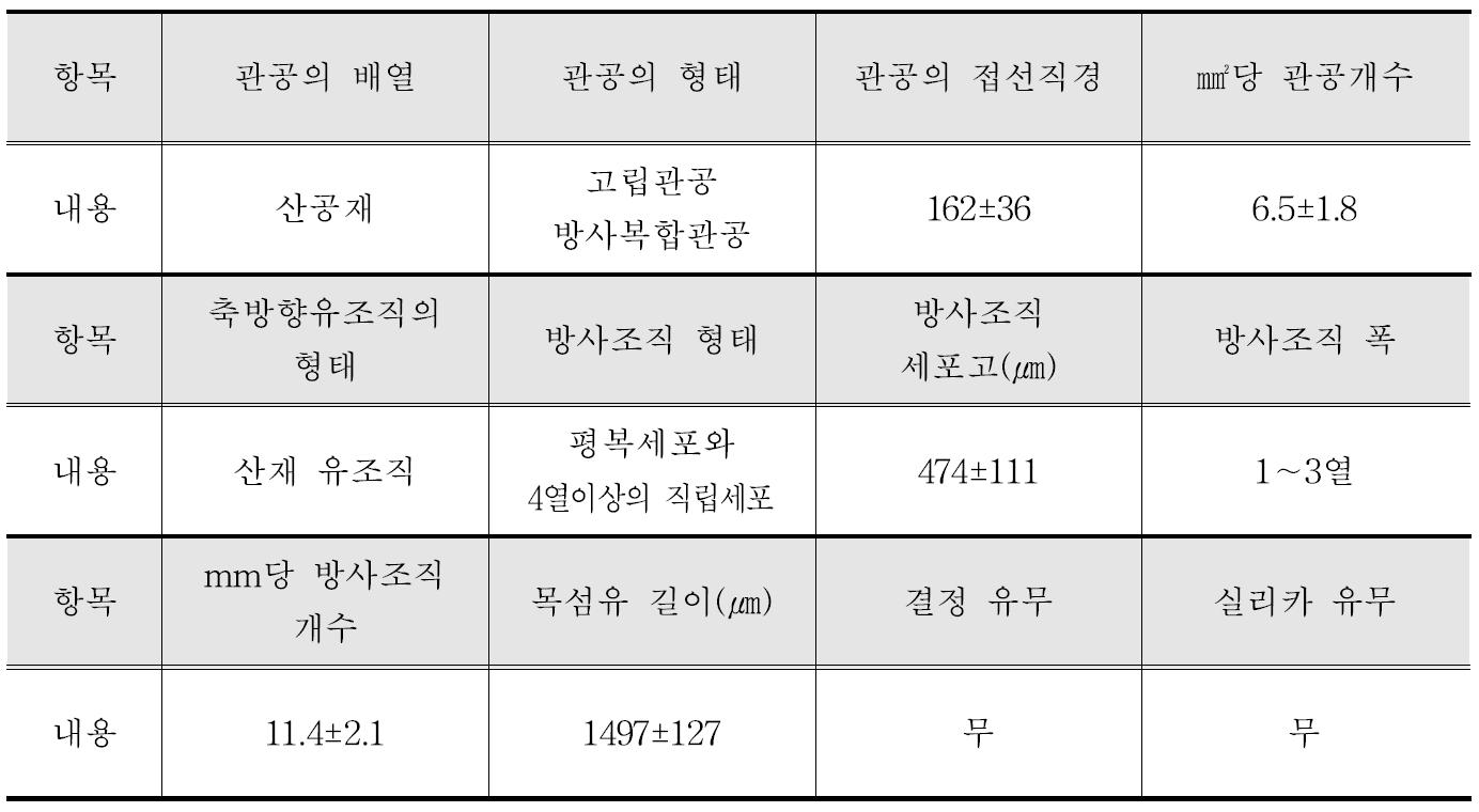 Red jabon 수종의 해부학적 특성