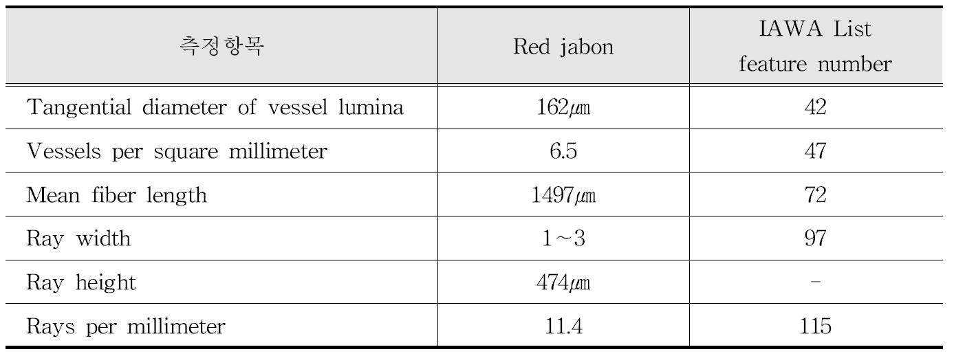 IAWA 기준에 따른 Red jabon 수종의 해부학적 특성