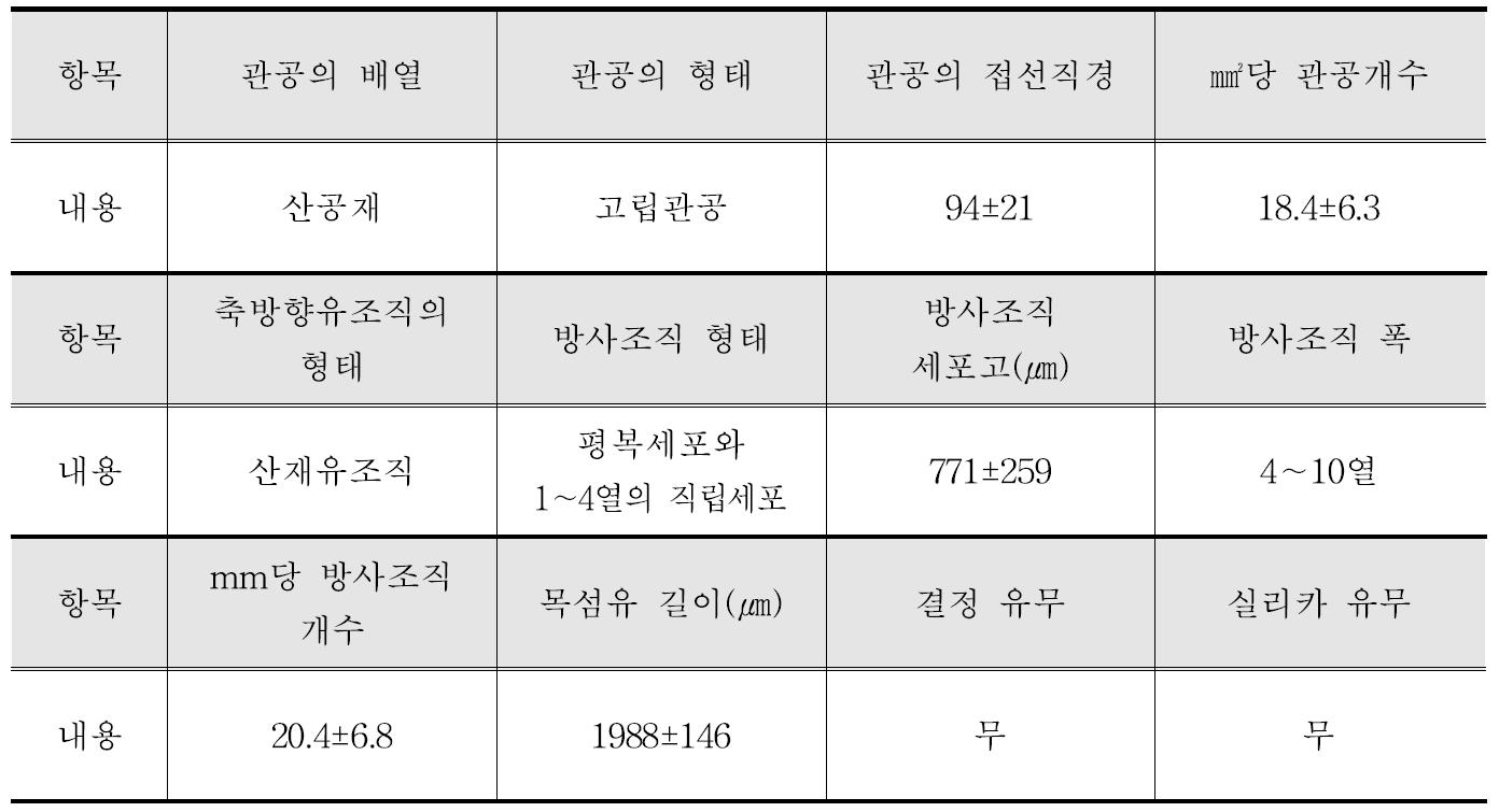 Simpur batu 수종의 해부학적 특성