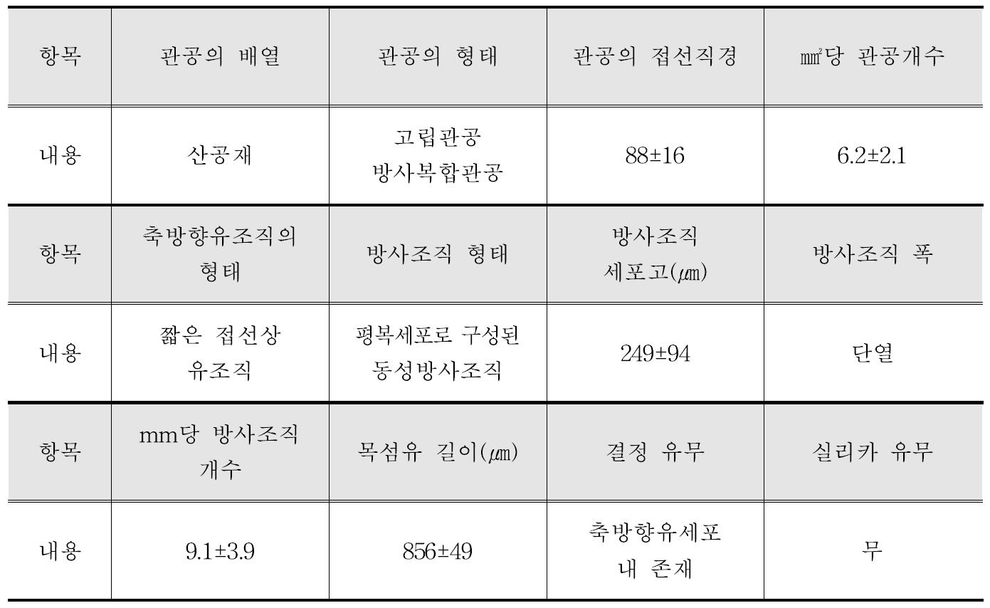 Bisbul 수종의 해부학적 특성