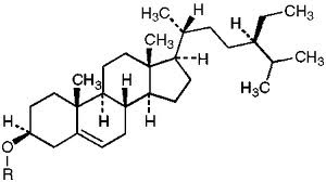β-sitosterol의 분자구조