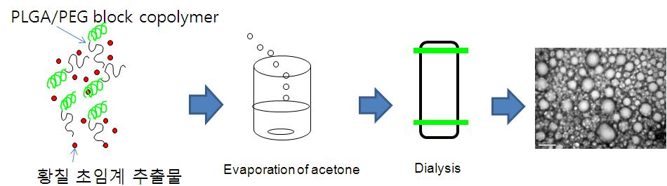 Microcapsulation of SFE extract