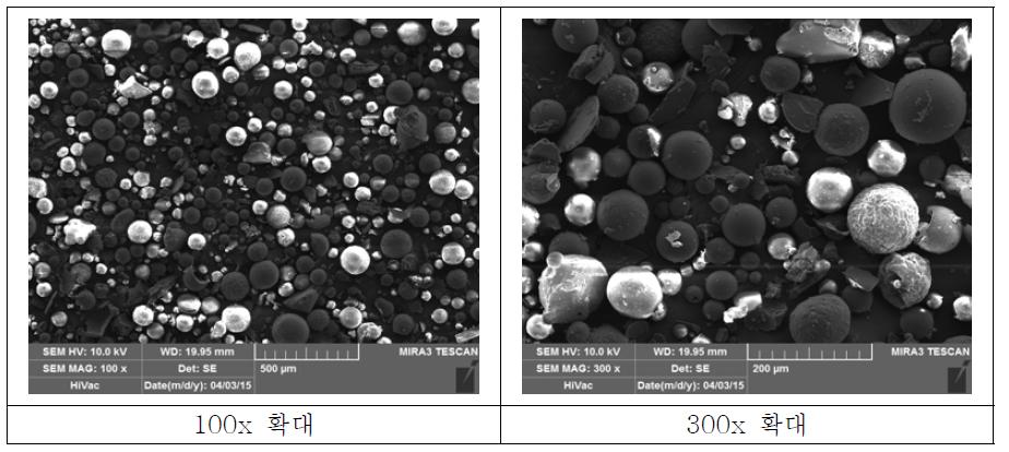 FE-SEM 측정 사진