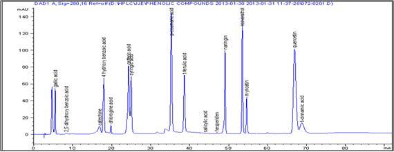 The chromatogram of standard of 16 phenol compounds.