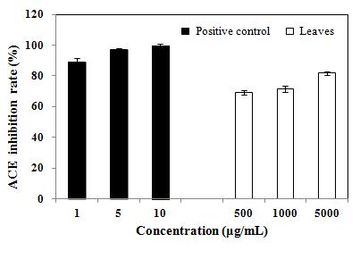 Angiotensin converting enzyme(ACE) inhibitory effect of Dendropanax morbifera leaves.