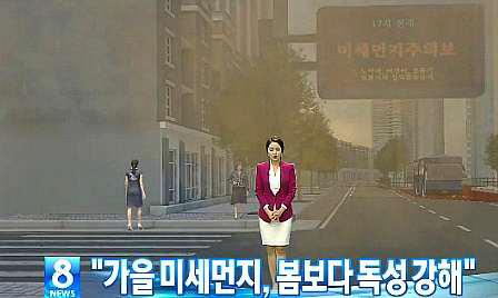 미세먼지 증가에 의한 알레르기 질환 증가