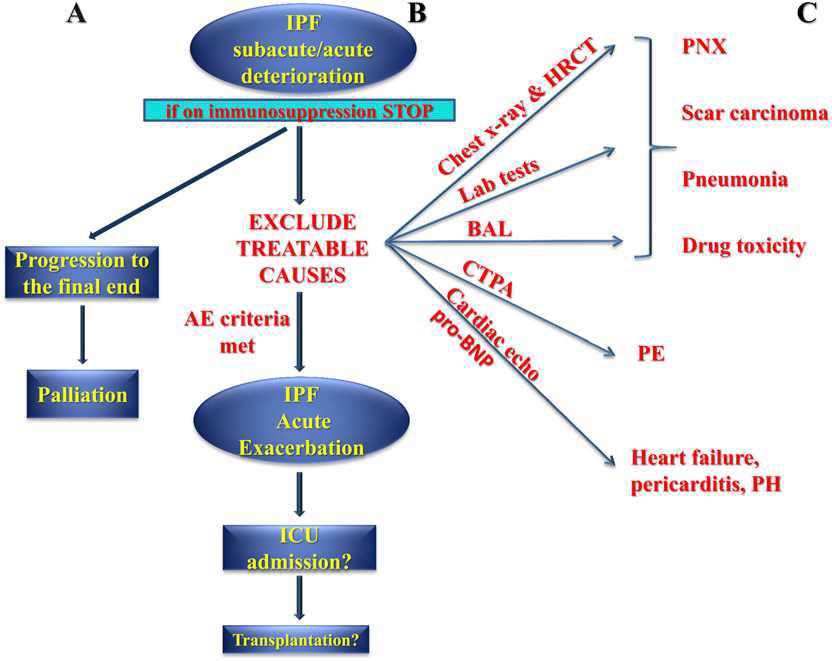 IPF 환자의 급성 악화로 인한 응급실 방문시 임상적 접근