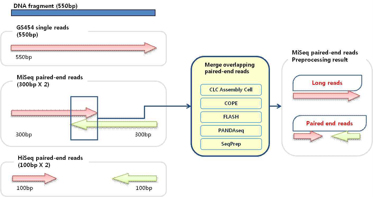 MiSeq paired-end library의 장점