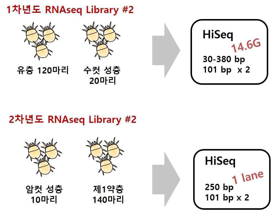 털진드기 RNA-seq sequencing 전략