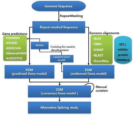 Structural annotation workflow