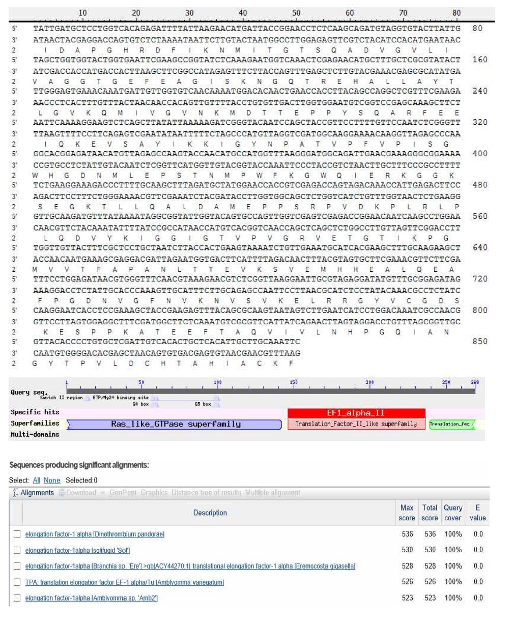 Cloning 결과 얻어진 털진드기의 EF1α부분서열과 Blast search 결과