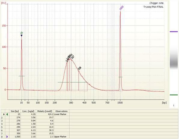 TruSeq RNA sample kit을 통해 얻어진 시퀀싱 library의 QC 결과