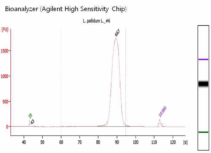 털진드기 gDNA MiSeq library QC graph