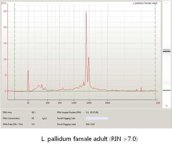 털진드기 암컷 성충 RNA-seq sample quality 확인