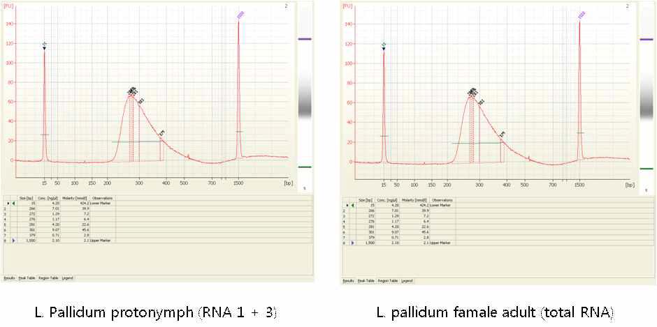 털진드기 RNAseq libraries QC graph