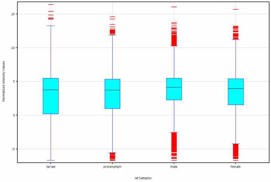 털진드기 전사체 라이브러리의 Box plot