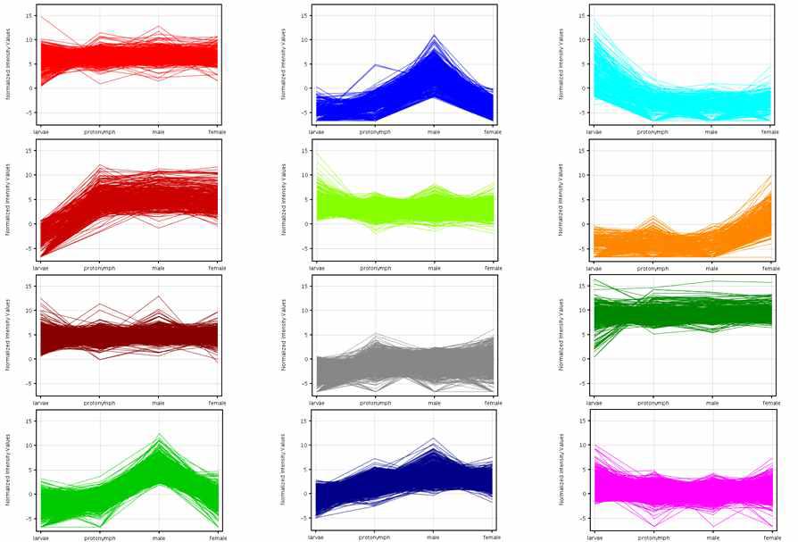 털진드기 전사체 라이브러리의 K-means clustering